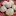 Lericettedikikkalove.it Favicon