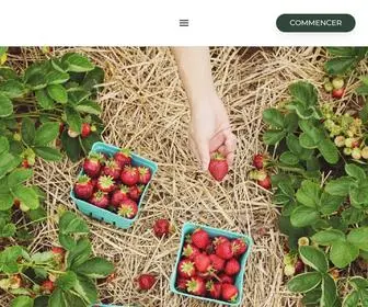 Les-Blobs.fr(Growsters) Screenshot