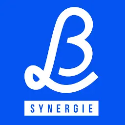 Letb-Synergie.com Favicon