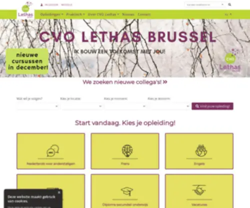 Lethas.be(Welkom op CVO Lethas Brussel) Screenshot
