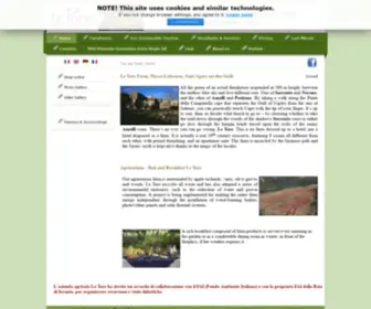 Letore.com(Le Tore) Screenshot