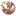 Leucodermatreatment.com Favicon