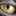 Leutron.com Favicon