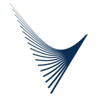 Level5Partners.net Favicon