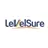 Levelsure.com Favicon