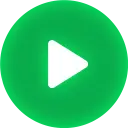 Levidia.one Favicon