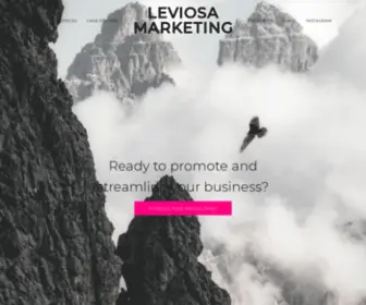 Leviosamarketing.com(Digital Marketing Solutions) Screenshot