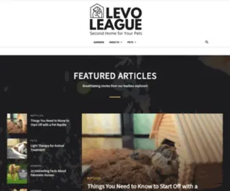 Levoleague.com(Community for Gen Y women looking for mentoring) Screenshot