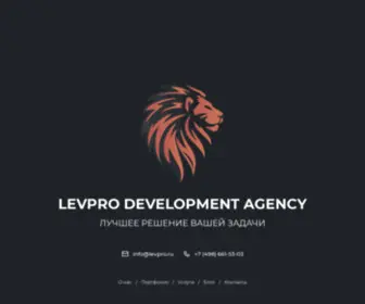 LevPro.ru(IT компания LevPro) Screenshot