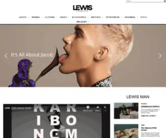 Lewislifestyle.com(解体工事を専門) Screenshot