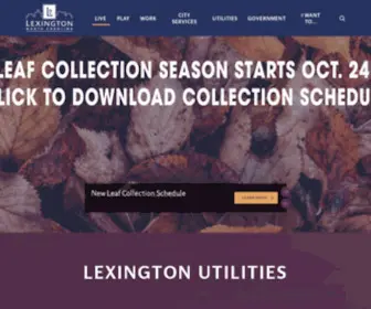 Lexingtonnc.net(City of Lexington) Screenshot