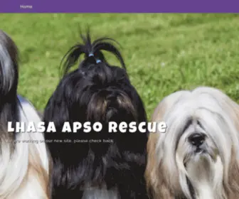 Lhasaapsorescue.org(Lhasa Apso Rescue) Screenshot
