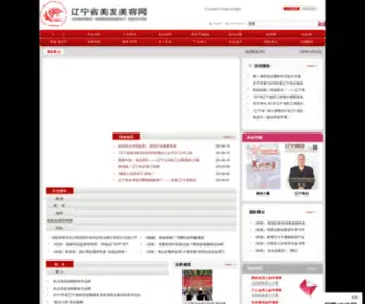 Lhba.cn(辽宁省美发美容网) Screenshot