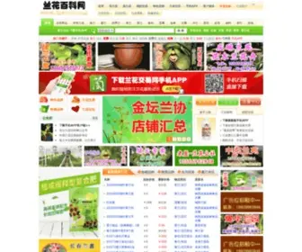 LHW123.com(中国兰花网址大全) Screenshot