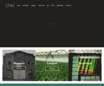 Liag.com.ar(LIAG ARGENTINA) Screenshot