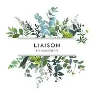 Liaison-Space.com Favicon