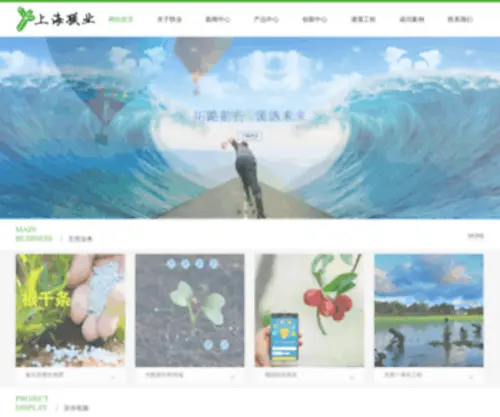 Lianyesh.com(上海联业农业科技有限公司) Screenshot