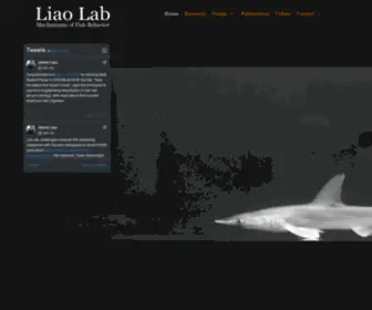 Liaolab.com(Liao Lab) Screenshot