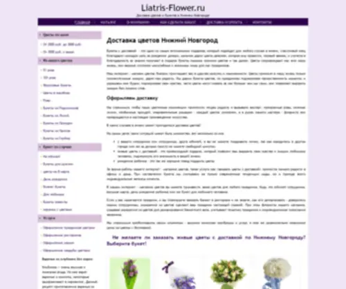 Liatris-Flower.ru(живые цветы) Screenshot