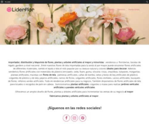 Liderflor.com(LidexgroupMayorista de flores y plantas artificiales) Screenshot