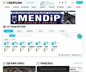 Liderform.com.tr Screenshot