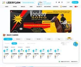 Liderform.net(LiderForm) Screenshot