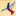 Lidersblog.ru Favicon