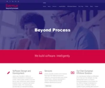 Liemur.com(Liemur Software Development) Screenshot