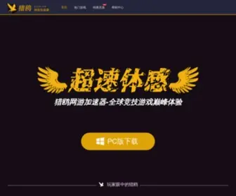 Lieou.com(猎鸥网游加速器) Screenshot