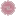 Life-IN-Bloom.com Favicon
