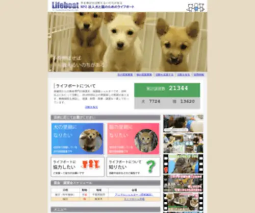 Lifeboatjapan.org(子犬) Screenshot