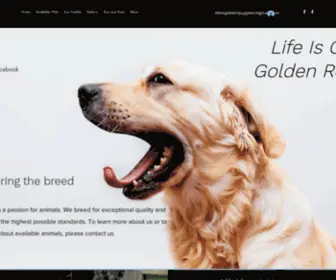 Lifeisgolden.biz(Golden Retrievers) Screenshot