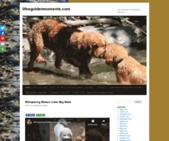 Lifesgoldenmoments.com(The Wonderful World of Golden Retrievers) Screenshot