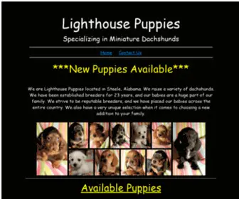 Lighthousepuppies.com(Lighthouse Puppies) Screenshot