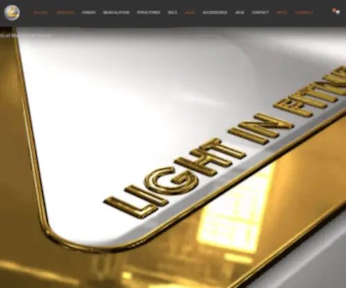 Lightinfitness.com(Light In Fitness Light In Fitness) Screenshot