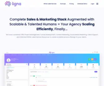 Ligna.io(Where Marketing Agencies Scale) Screenshot