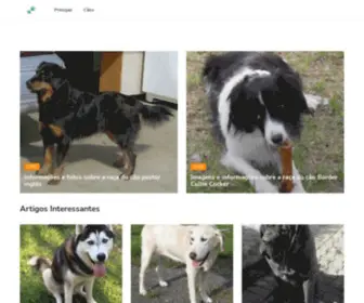 Ligseruveni.com(Salvadores Ajuda E Donos De Animais Na Identificação De Cães) Screenshot