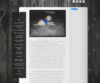 Lildoods.com(Miniature Goldendoodles) Screenshot