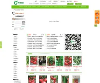 Lilinseed.com(进口蔬菜种子公司) Screenshot