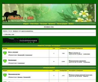 Lilitochka.ru(Lilitochka-club) Screenshot