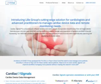 Lillegroup.com(Lille Group) Screenshot