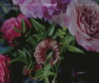 Lilymood.com(릴리무드) Screenshot