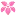 Lilypichu.com Favicon