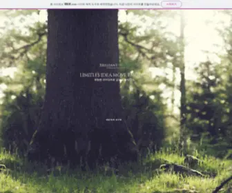 Limead.co.kr(Brilliant LimeAD) Screenshot