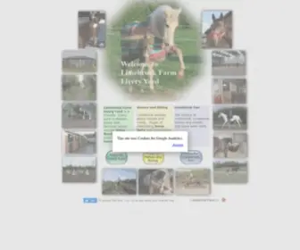 Limebrook.com(Limebrook Farm Livery Yard and Horse Riding Information) Screenshot