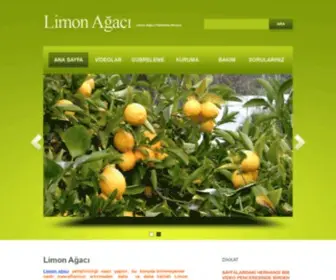 Limonagaci.net(Ağacı) Screenshot