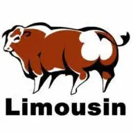 Limousin.com.br Favicon