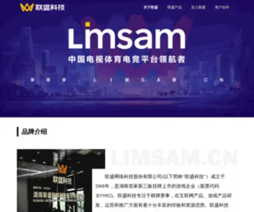 Limsam.cn(湖南联盛网络科技股份有限公司) Screenshot