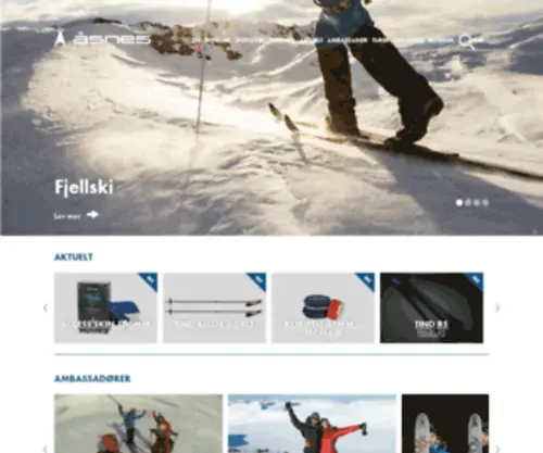 Linken.com(Åsnes) Screenshot