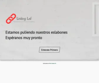 Linkinglab.com.mx(Integrated communication agency) Screenshot